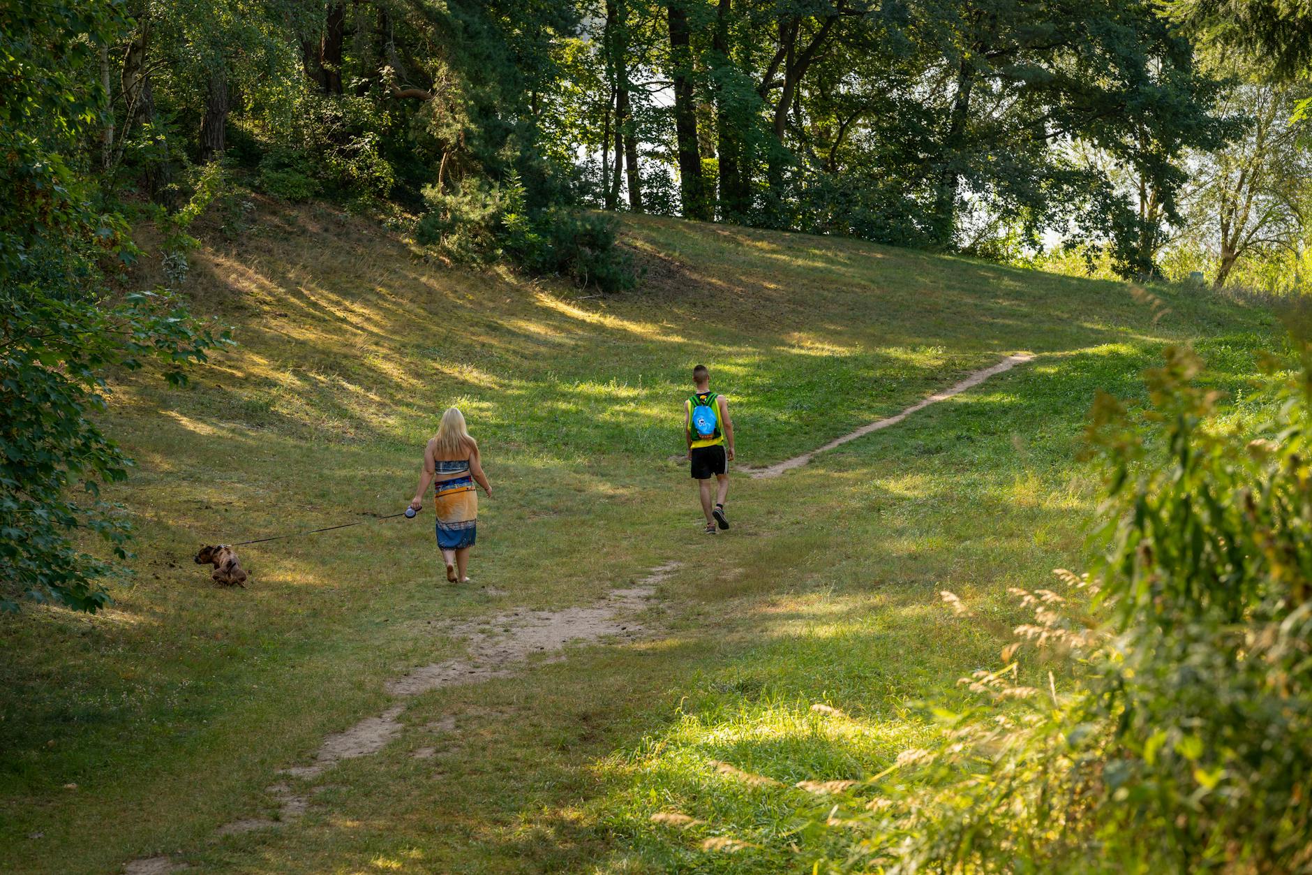 Lubawa wiosną: alergeny w powietrzu i trasy spacerowe