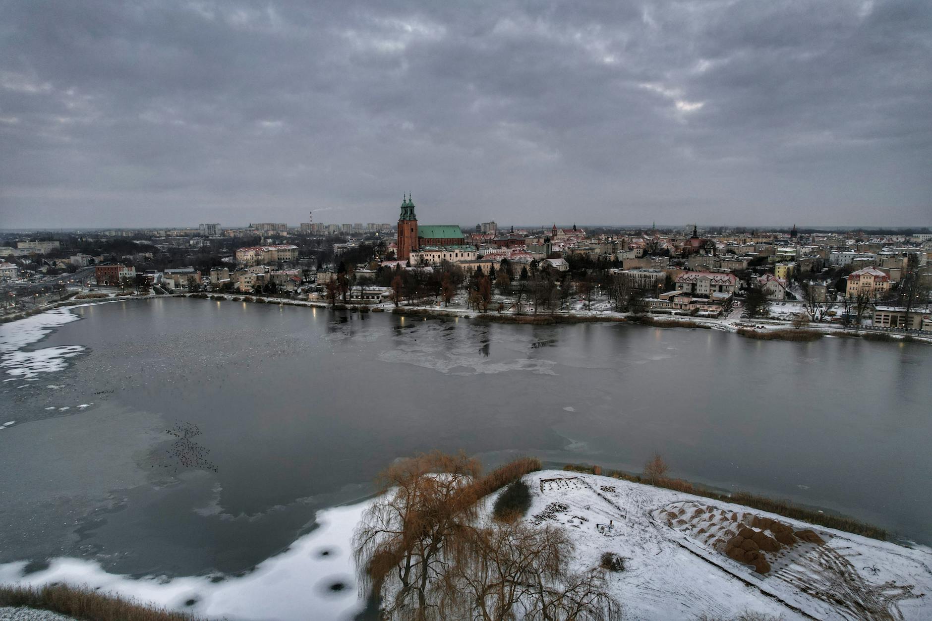 Uśmiechnięta osoba sadząca młode rośliny w ogrodzie podczas słonecznego dnia w Lubawie